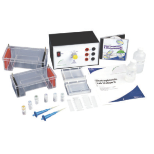 Electrophoresis Lab Station 2